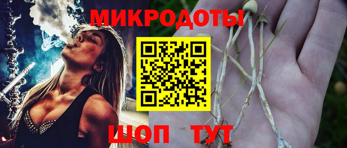 где найти наркотики  Галлюциногенные грибы GOLDEN TEACHER  Вход с VPN  Псилоцибиновые грибы мицелий  Курск 