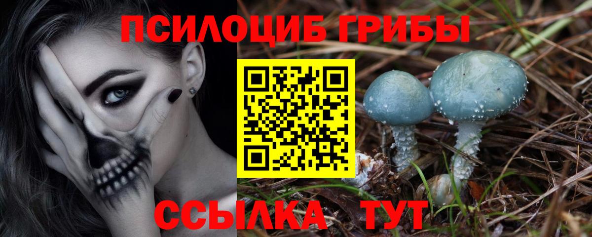 Псилоцибиновые грибы GOLDEN TEACHER Курск